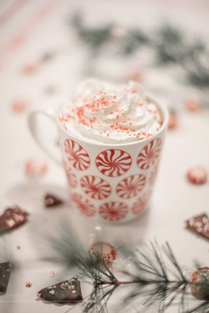 Peppermint Hot Chocolate